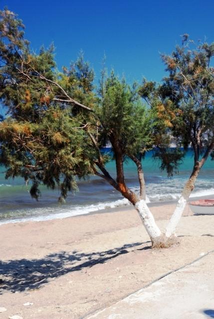 Kalives Apartments Καλύβες Εξωτερικό φωτογραφία